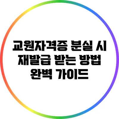 교원자격증 분실 시 재발급 받는 방법 완벽 가이드
