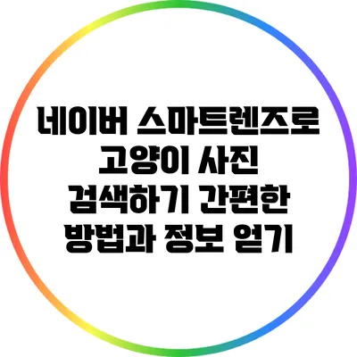 네이버 스마트렌즈로 고양이 사진 검색하기: 간편한 방법과 정보 얻기