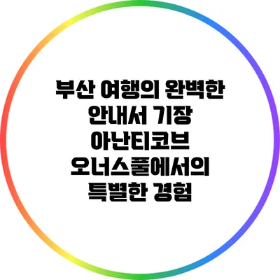부산 여행의 완벽한 안내서: 기장 아난티코브 오너스풀에서의 특별한 경험