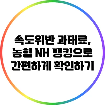 속도위반 과태료, 농협 NH 뱅킹으로 간편하게 확인하기