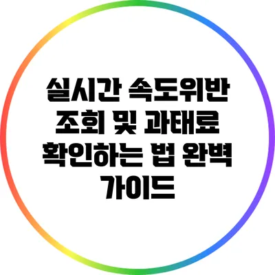 실시간 속도위반 조회 및 과태료 확인하는 법 완벽 가이드