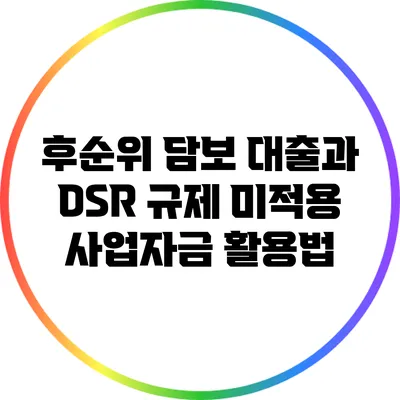 후순위 담보 대출과 DSR 규제 미적용 사업자금 활용법
