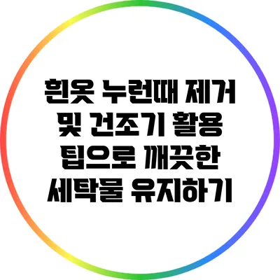 흰옷 누런때 제거 및 건조기 활용 팁으로 깨끗한 세탁물 유지하기