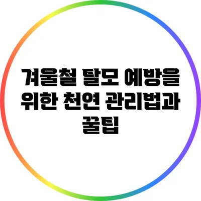 겨울철 탈모 예방을 위한 천연 관리법과 꿀팁