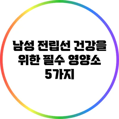 남성 전립선 건강을 위한 필수 영양소 5가지