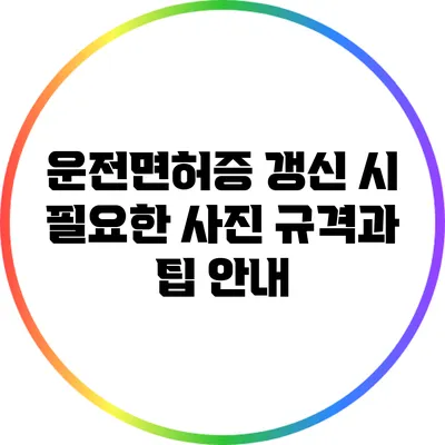 운전면허증 갱신 시 필요한 사진 규격과 팁 안내