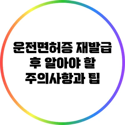 운전면허증 재발급 후 알아야 할 주의사항과 팁