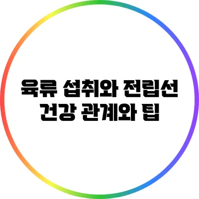 육류 섭취와 전립선 건강: 관계와 팁