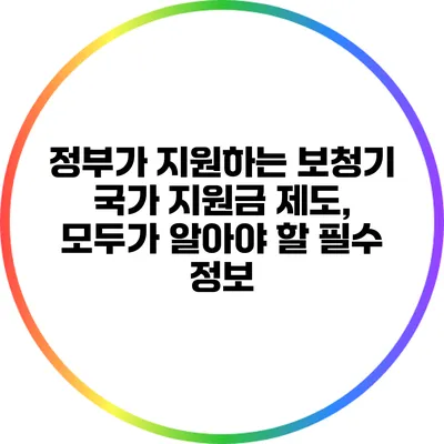 정부가 지원하는 보청기 국가 지원금 제도, 모두가 알아야 할 필수 정보