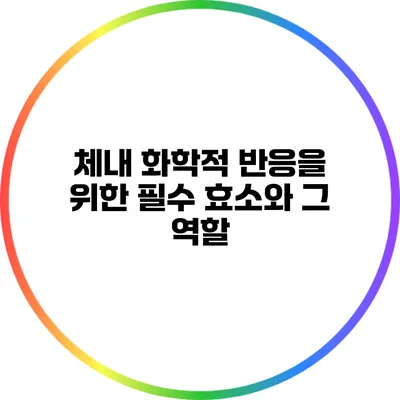 체내 화학적 반응을 위한 필수 효소와 그 역할