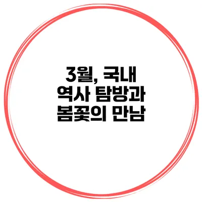 3월, 국내 역사 탐방과 봄꽃의 만남