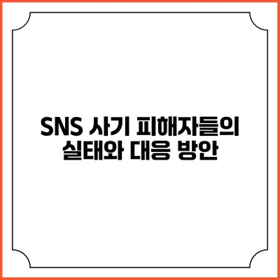 SNS 사기 피해자들의 실태와 대응 방안