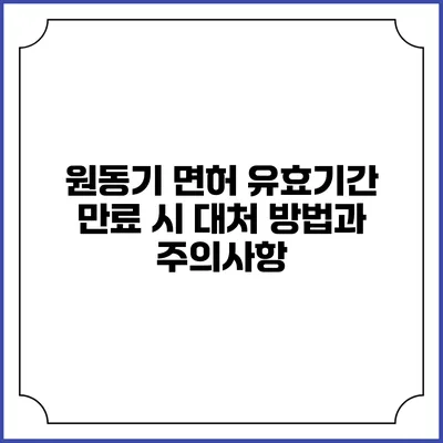 원동기 면허 유효기간 만료 시 대처 방법과 주의사항