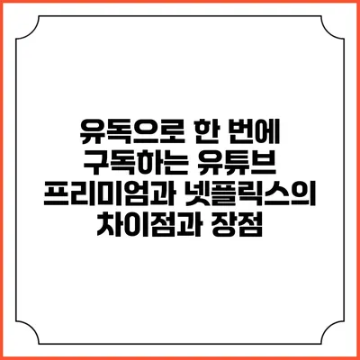 유독으로 한 번에 구독하는 유튜브 프리미엄과 넷플릭스의 차이점과 장점