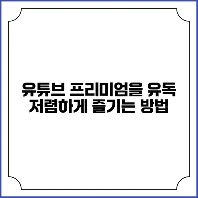 유튜브 프리미엄을 유독 저렴하게 즐기는 방법