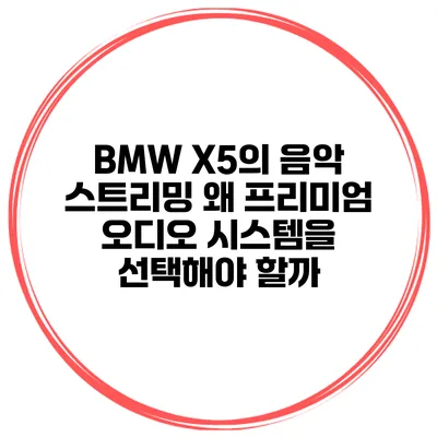 BMW X5의 음악 스트리밍 왜 프리미엄 오디오 시스템을 선택해야 할까?