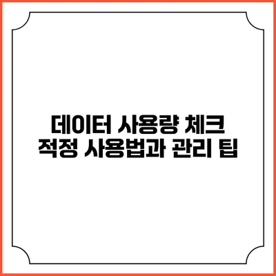 데이터 사용량 체크: 적정 사용법과 관리 팁