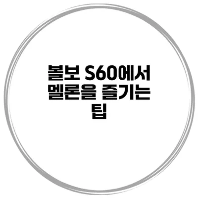볼보 S60에서 멜론을 즐기는 팁