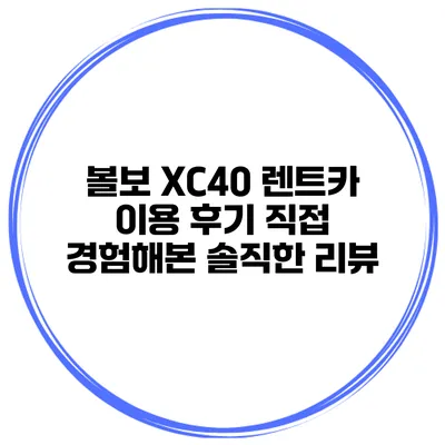 볼보 XC40 렌트카 이용 후기 직접 경험해본 솔직한 리뷰