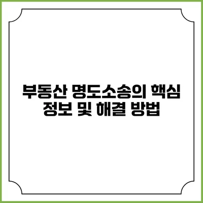 부동산 명도소송의 핵심 정보 및 해결 방법