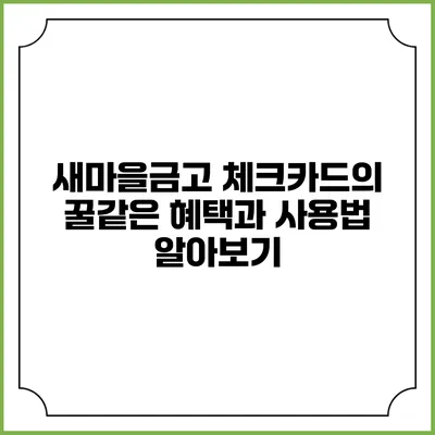 새마을금고 체크카드의 꿀같은 혜택과 사용법 알아보기