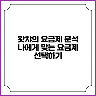 왓챠의 요금제 분석: 나에게 맞는 요금제 선택하기