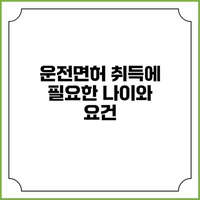 운전면허 취득에 필요한 나이와 요건