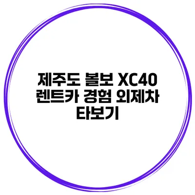 제주도 볼보 XC40 렌트카 경험 외제차 타보기