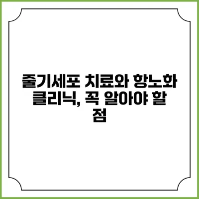 줄기세포 치료와 항노화 클리닉, 꼭 알아야 할 점
