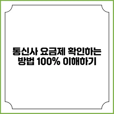 통신사 요금제 확인하는 방법 100% 이해하기